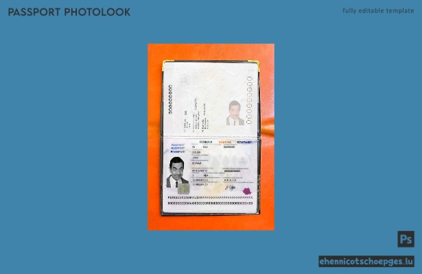 Beispielansicht eines rumänischen Passfotos